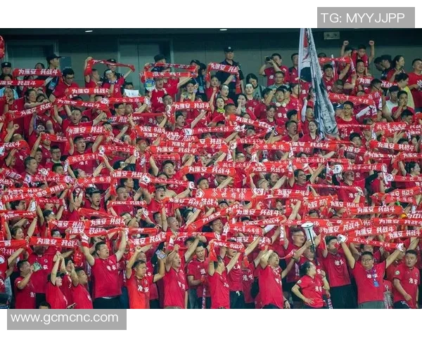 江苏足球队十大球星盘点 深度解析各大传奇球员的辉煌历程与贡献